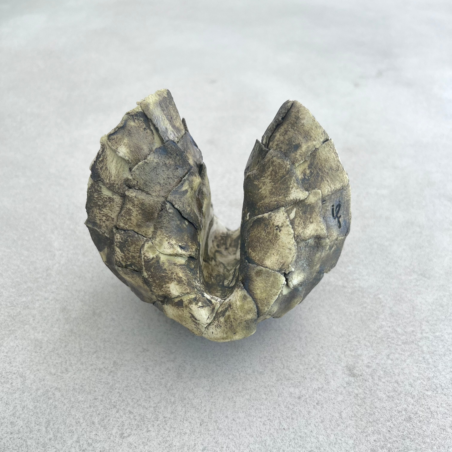 limited edition ceramic fortune cookie