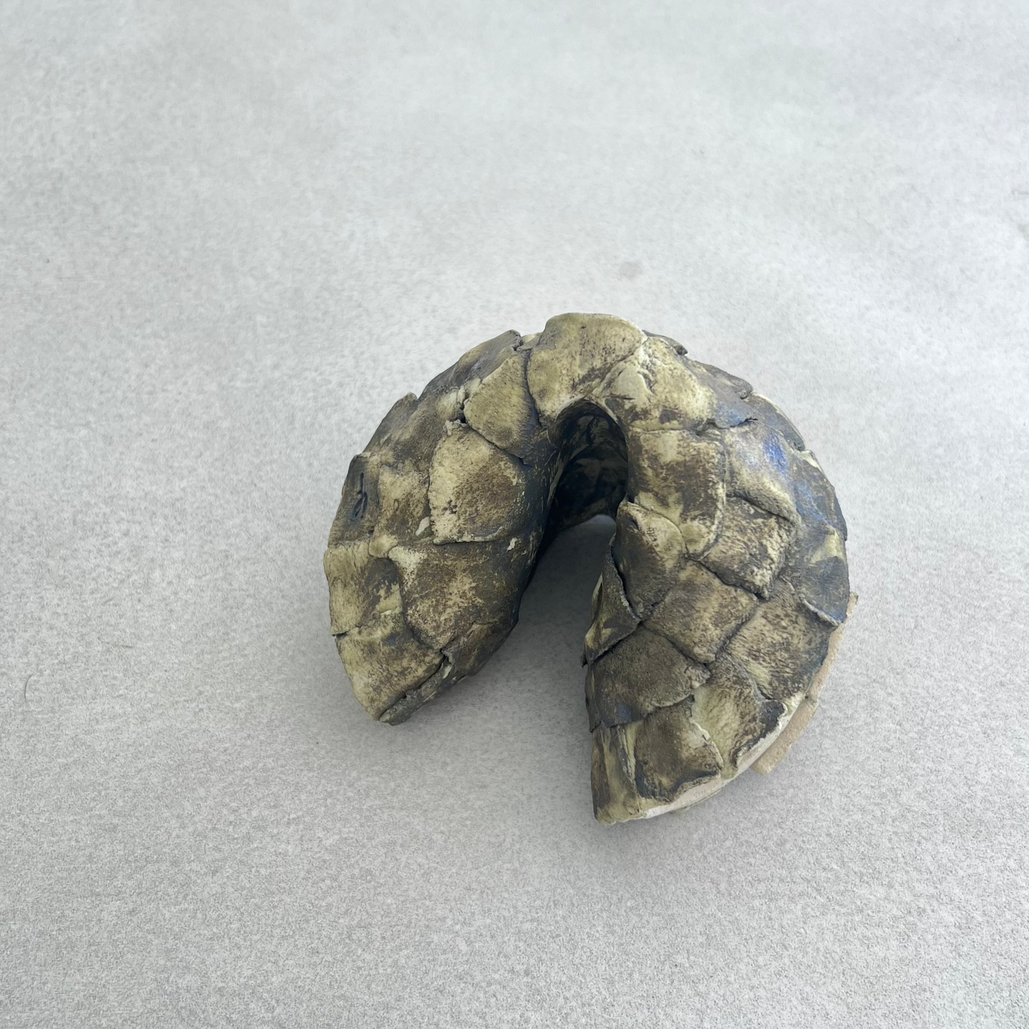 limited edition ceramic fortune cookie