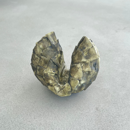 limited edition ceramic fortune cookie