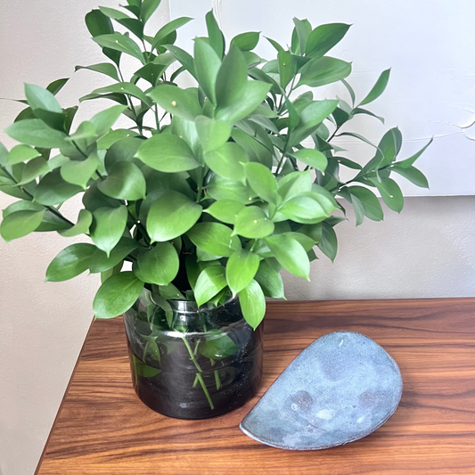 blue pedestal bowl